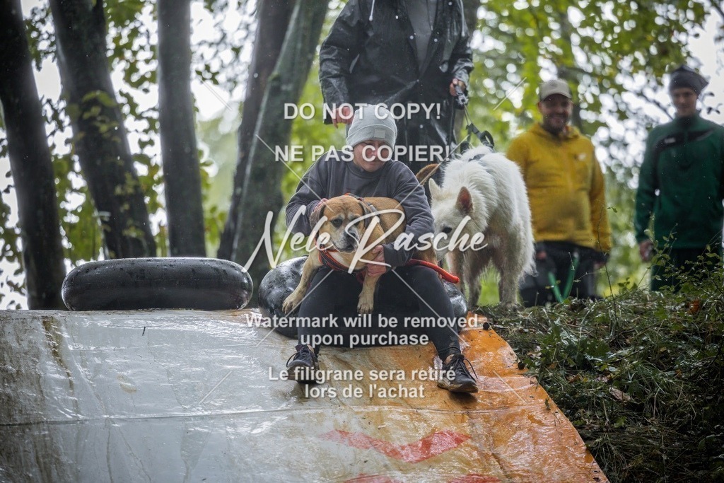 nelerasche_Hunsrück_Sa1230-1300_137-final | nelerasche