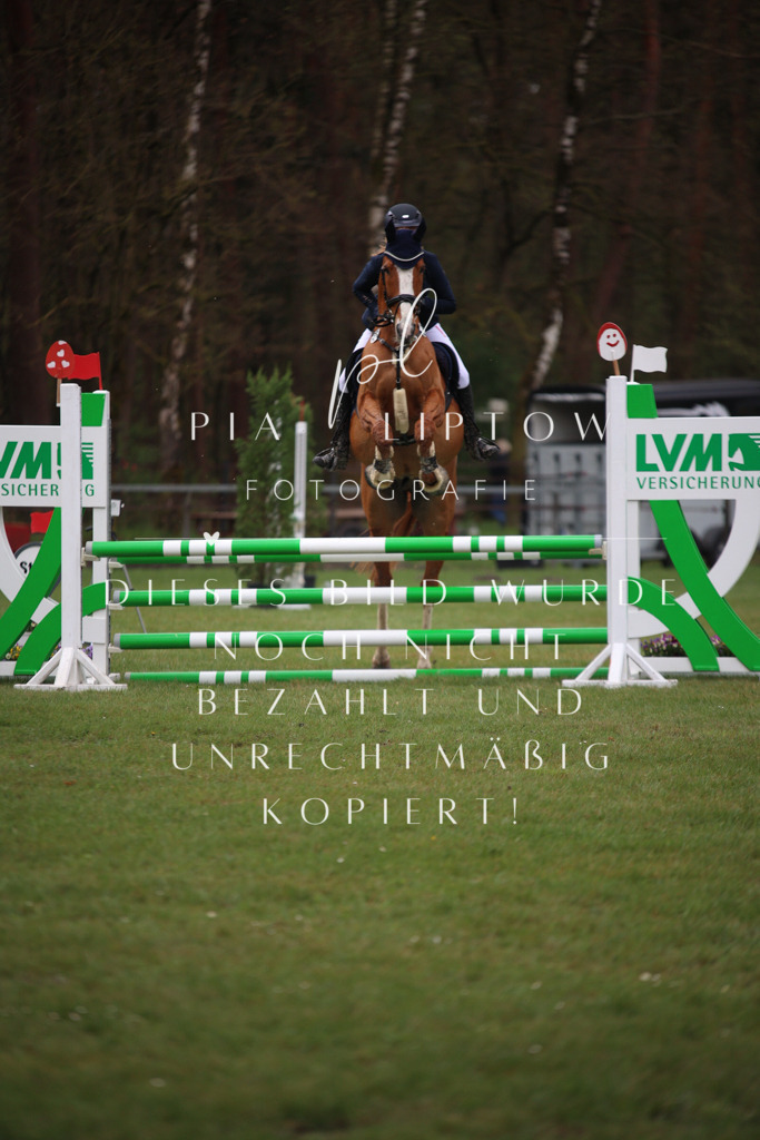 IMGT3032 | pl-fotografie