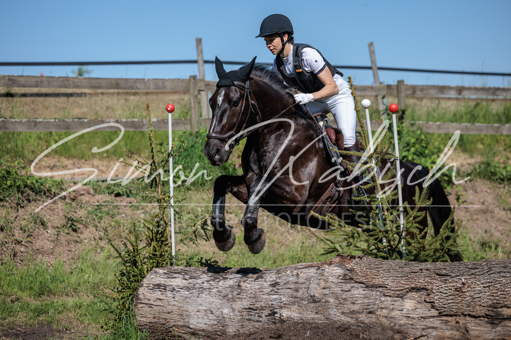 20260523-_3LI7055 | Tierfotografie Pferde, Hunde, Katzen, Haustiere.
Turnierfotografie Reitturniere, Reiten, Springreiten, Dressur in Hanau, dem Main-Kinzig-Kreis und dem Rhein-Main- Gebiet um Frankfurt