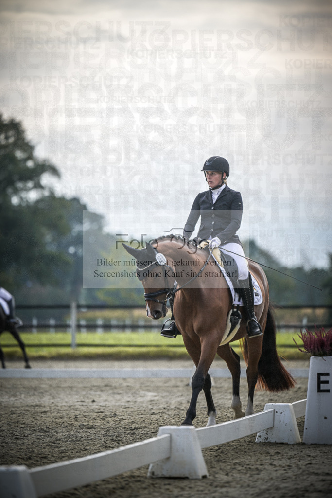 DOS_B201 | Entdecke hochwertige Reitturnierfotos von Foto Oger. Professionell, emotional und authentisch – jetzt Lieblingsmomente im Shop bestellen.Deutschlandweite Turnierfotografie. - Realisiert mit Pictrs.com