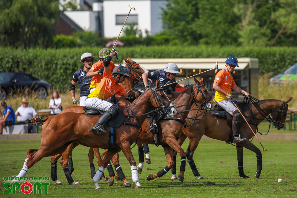 Polo_Willich_070623_088 | Bildergalerie von Sport-Ereignissen aber auch von weiteren spannenden Dingen - nicht nur vom Niederrhein. In Anlehnung an den bekannten Spruch von Hanns Dieter Hüsch heißt das Motto: "Niederrhein ist überall".  - Realisiert mit Pictrs.com