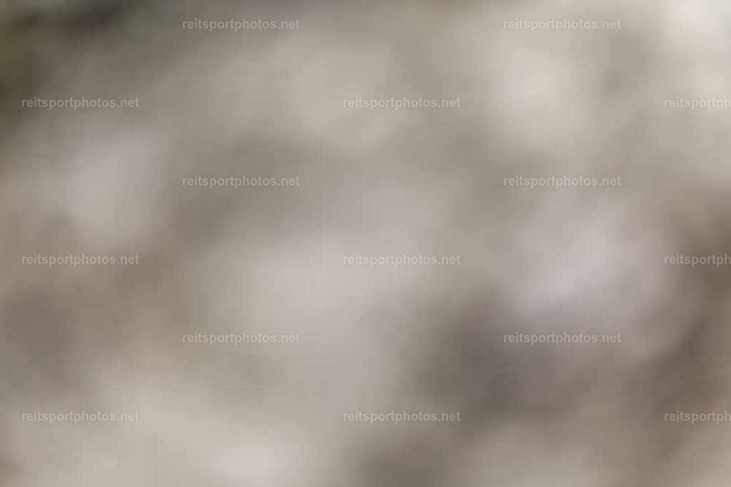 JoYaR3_Heidehof_01117 | JoYa Fotografie - Realisiert mit Pictrs.com