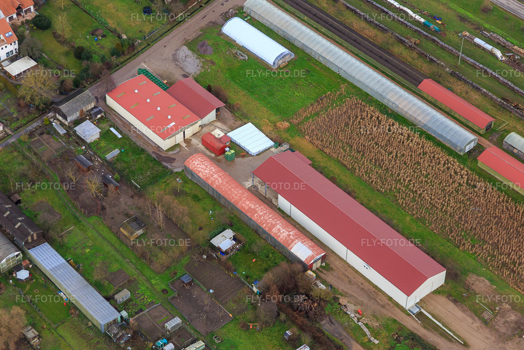 Luftbild: Landwirtschaftliche Hallen Am Ettenbaum in Kandel im Bundesland Rheinland-Pfalz in Deutschland. Foto: IMG_085945.jpg vom 08.01.2016 durch Werner Riehm/FLY-FOTO.de
