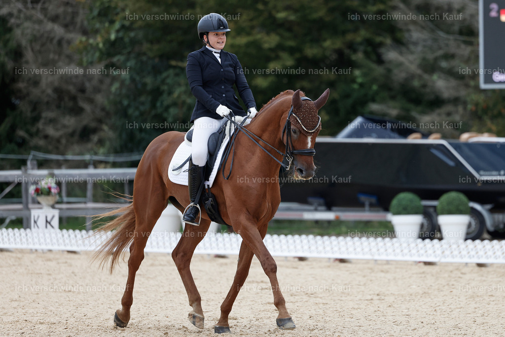 3-111-Dressur M_-StoibPH-2317 | working equitationturnier fotograf videograf stoibphotography marixx film working equitation deutschland reitsport turnierfotografie eventfotografie equestrian events