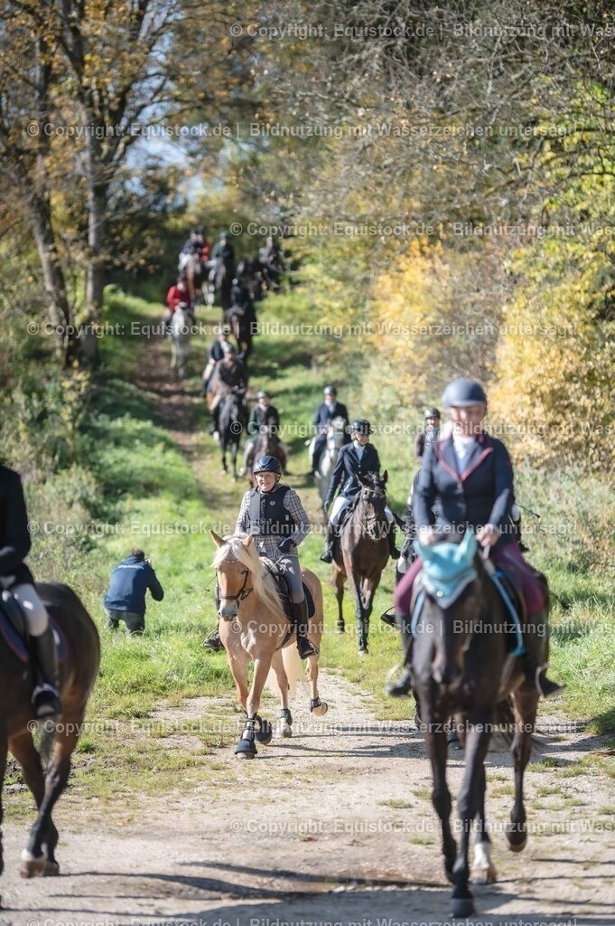 20251011_Jagd-Marbach_0472 | Foto: Thomas Hartig