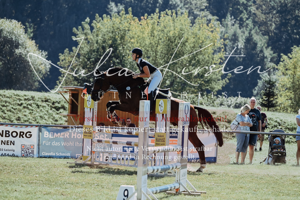 DSC_5818 | Pferde- und Turnierfotografie in Westsachsen. Pferdeportraits, Auftragszeichnungen und intuitive Kunst.