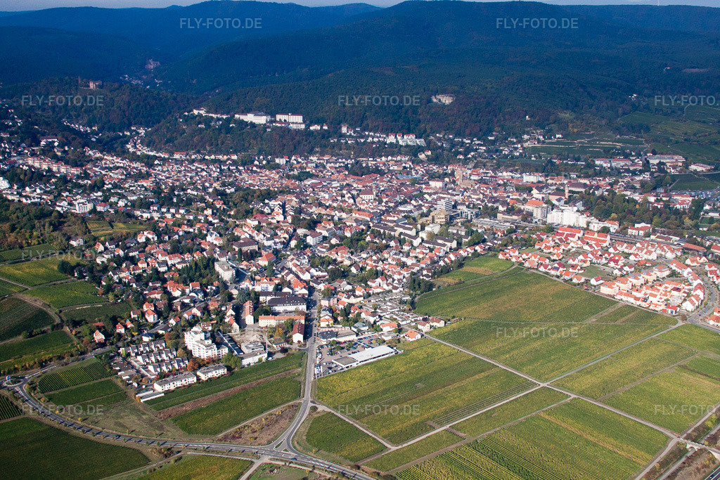 Luftbild: Weinstraße S in Bad Dürkheim im Bundesland Rheinland-Pfalz in Deutschland. Foto: IMG_21965.jpg vom 15.10.2009 durch Werner Riehm/FLY-FOTO.de