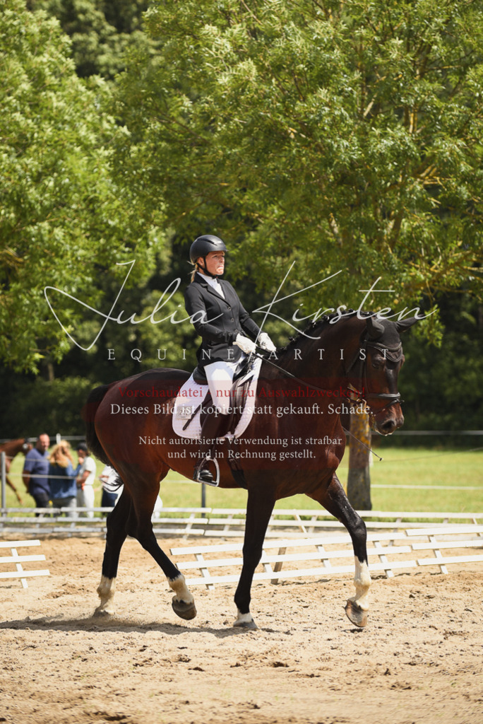 DSC_1191 | Pferde- und Turnierfotografie in Westsachsen. Pferdeportraits, Auftragszeichnungen und intuitive Kunst.