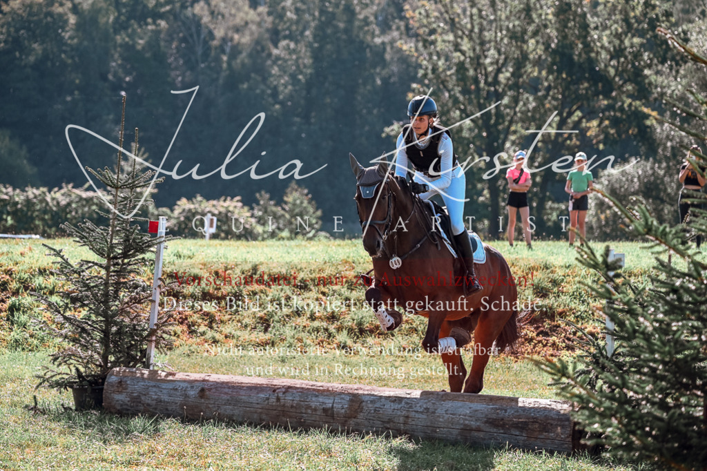 DSC_1079 | Pferde- und Turnierfotografie in Westsachsen. Pferdeportraits, Auftragszeichnungen und intuitive Kunst.