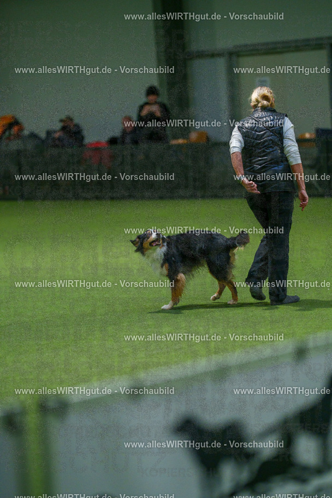 7R507574 | Professionelle Tierfotografie in Mönchengladbach von Daniel Wirth (allesWIRTHgut). Liebevolle & natürliche Bilder von Hunden & Katzen für unvergessliche Erinnerungen.