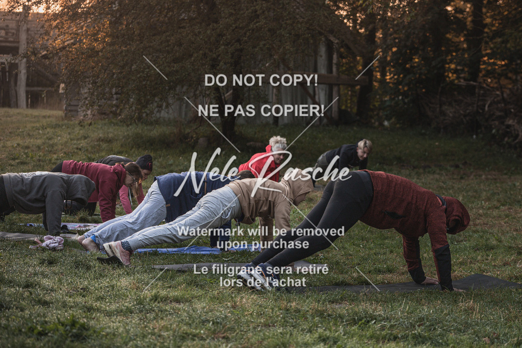 nelerasche_slaw24So_04 | nelerasche