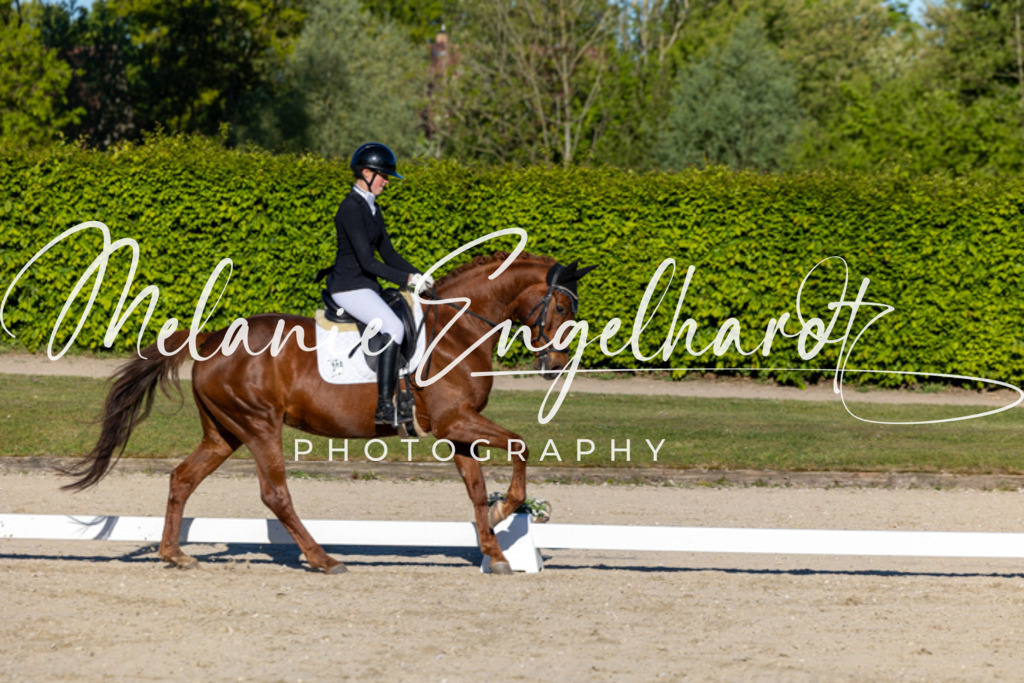 7I8A8396 | melanie-engelhardt-photography - Realisiert mit Pictrs.com