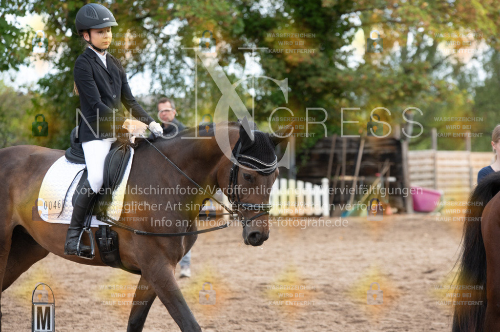 DSC_8898 | Nils Cress - Fotografie - Realisiert mit Pictrs.com