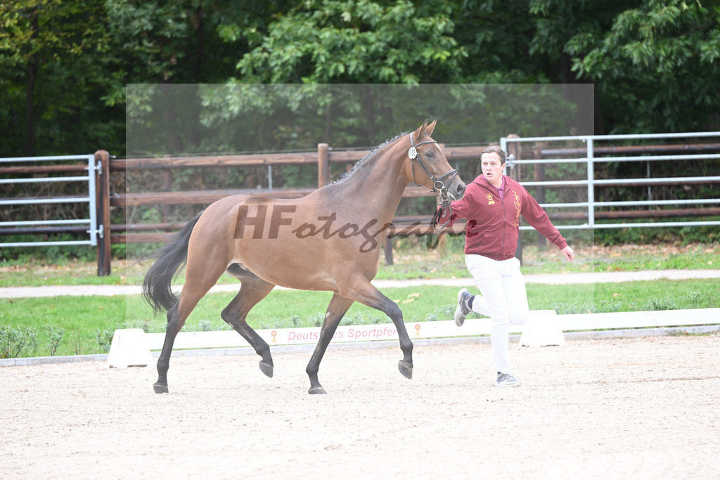 Kat-Nr. 5 Caida_Arzt_49220829 | hf-fotografie - Realisiert mit Pictrs.com