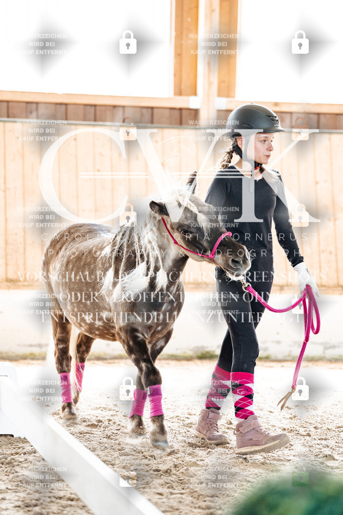 CK907072 | Turnierfotografie Pferdefotografie Trier Rheinland-Pfalz Pferdesport Reitsport Tierfotografie Sportfotografie Pferdevideo Pferdevideografie Equestrianvideography equestrianphotography  - Realisiert mit Pictrs.com
