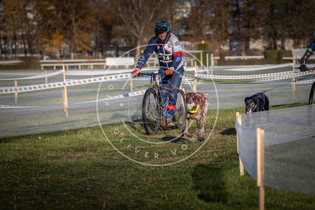 CaniXpix_0L8A4054 | Hundefotografie, Tierfotograf, Pfotenfotografie, Fotoshooting Hund, Hunde Portrait, Hundesport, Hundeportraits, Heideshooting, Hunde, Sportfotograf, Hundefotograf, Turnierhundsport, THS,  - Realisiert mit Pictrs.com
