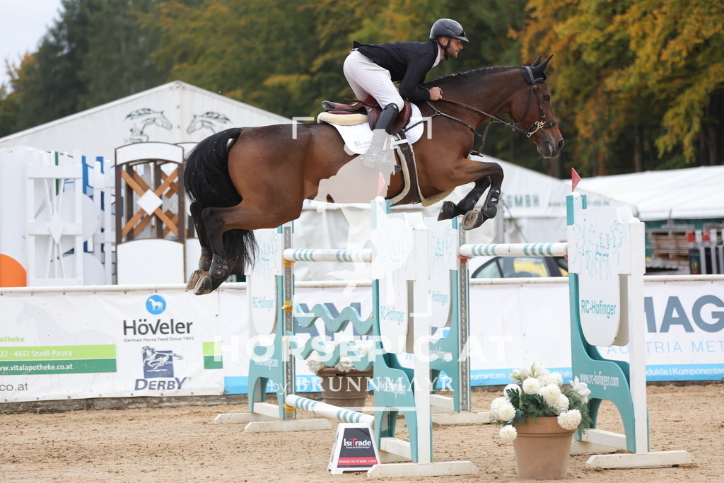 0P6A4621 | Willkommen bei Brunnmayr - Design & Fotografie – Ihrem Spezialisten für Reitturniere und Pferdeveranstaltungen in Oberösterreich, Salzburg und Bayern! Seit über 17 Jahren sind wir leidenschaftlich dabei.