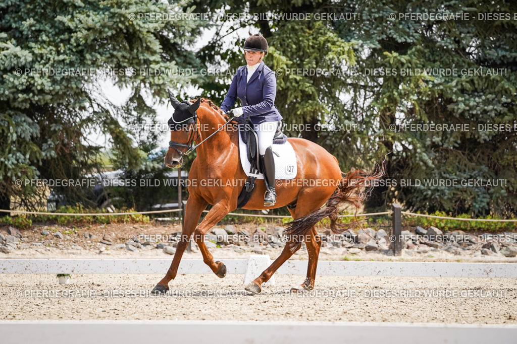 DSC00562 | Pferdegrafie