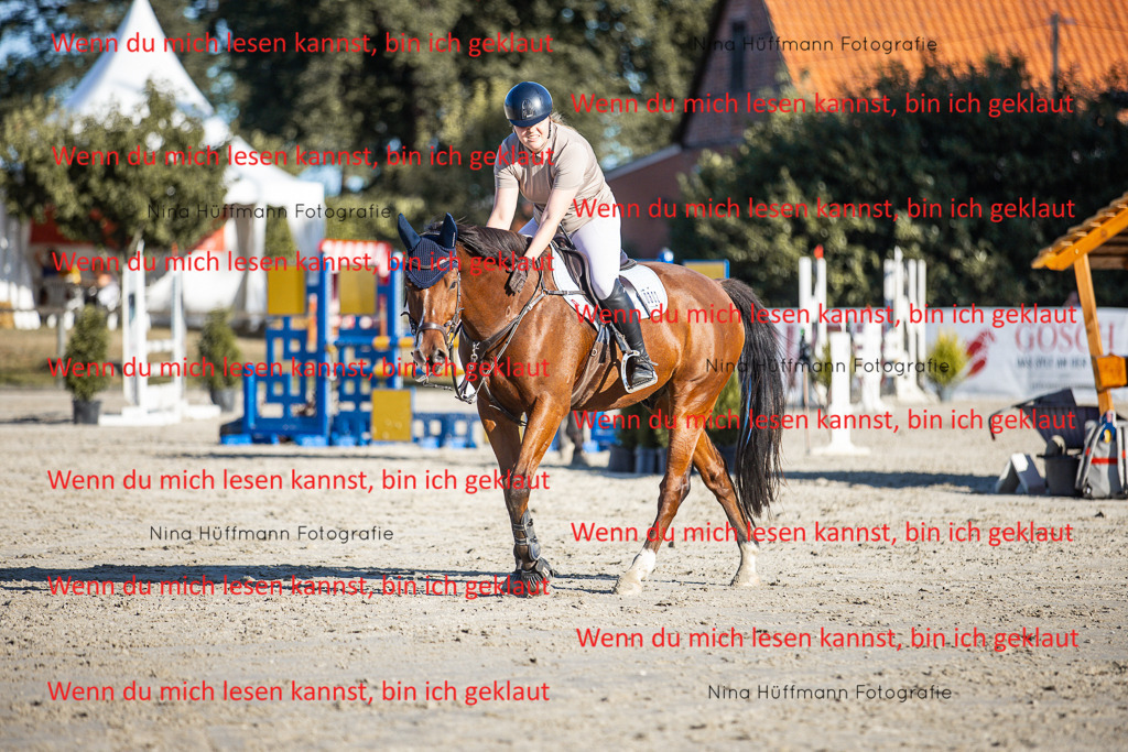 BK1A7719 | Turnierbilder Turnierfotos Nina Hüffmann Turnierfotografie Pferdefotografie Tierzeichnung Haustierzeichnung Pferdezeichnung Hundezeichnung Videograf  - Realisiert mit Pictrs.com