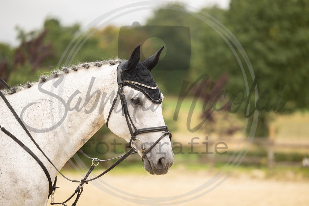 994A7423 | sabrinanicolaifotografie - Realisiert mit Pictrs.com