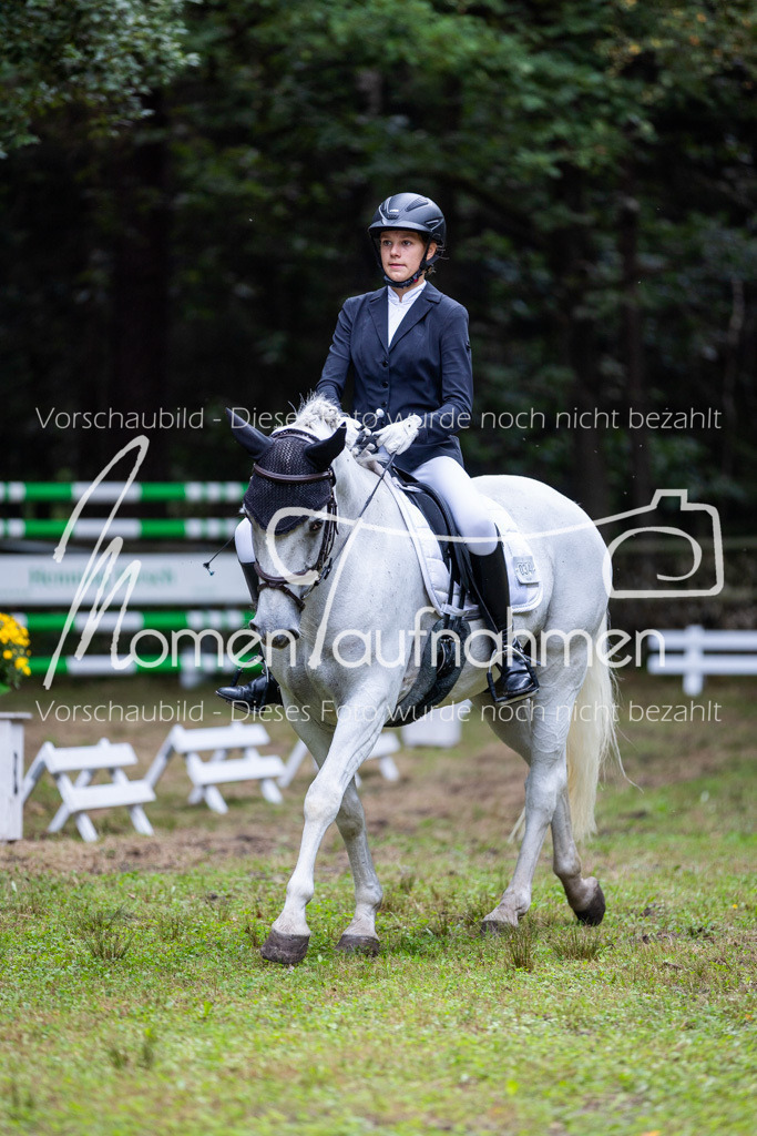 HB-A-Dressur-089 | MomenTaufnahmen Pferdesportfotos