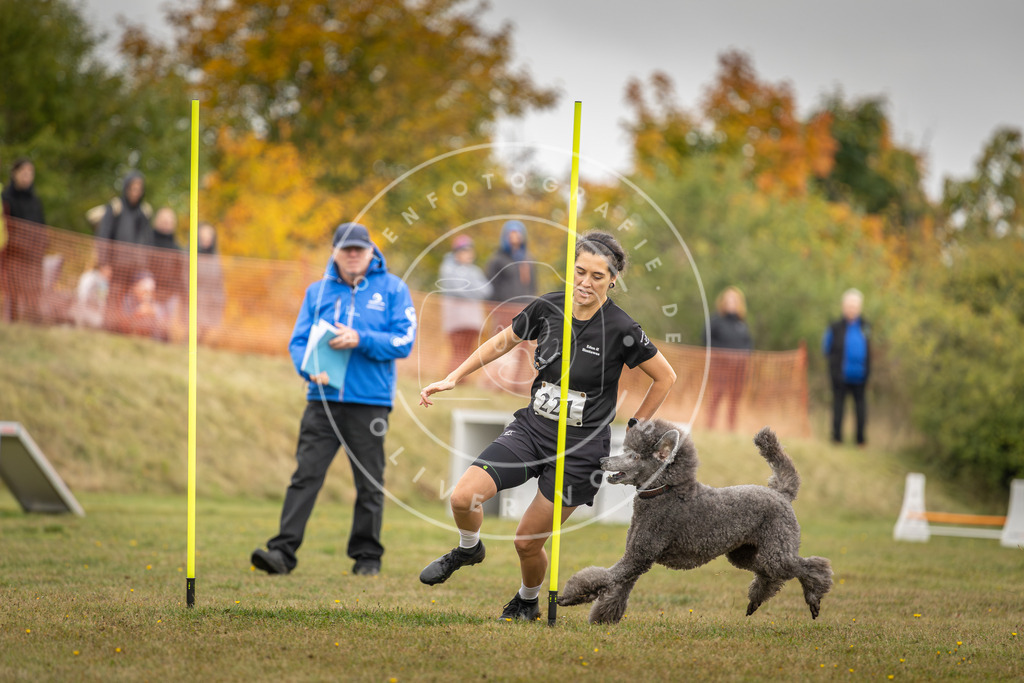 Pfotenfotografie_DV3A3749 | Hundefotografie, Tierfotograf, Pfotenfotografie, Fotoshooting Hund, Hunde Portrait, Hundesport, Hundeportraits, Heideshooting, Hunde, Sportfotograf, Hundefotograf, Turnierhundsport, THS,  - Realisiert mit Pictrs.com