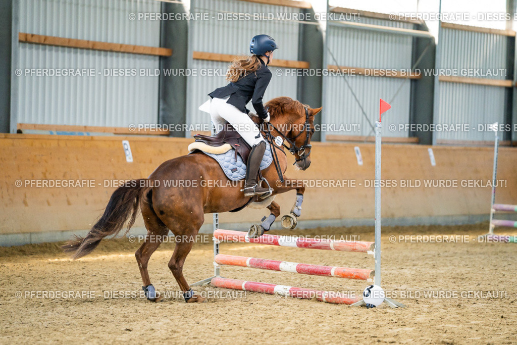 DSC01087 | Pferdegrafie