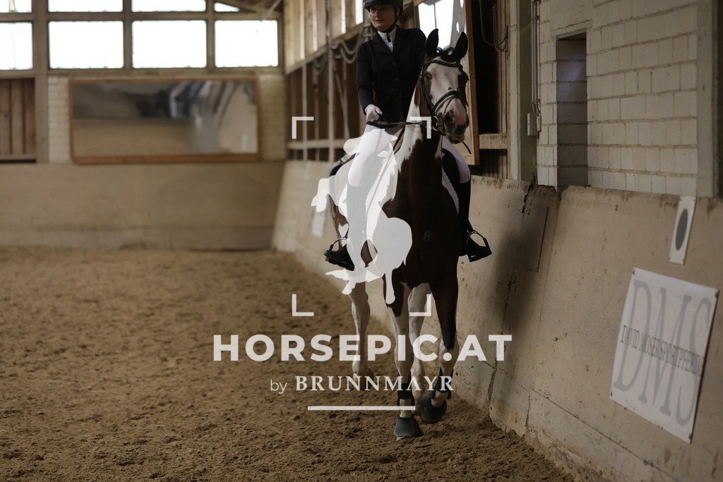 0P6A9644 | Willkommen bei Brunnmayr - Design & Fotografie – Ihrem Spezialisten für Reitturniere und Pferdeveranstaltungen in Oberösterreich, Salzburg und Bayern! Seit über 17 Jahren sind wir leidenschaftlich dabei.