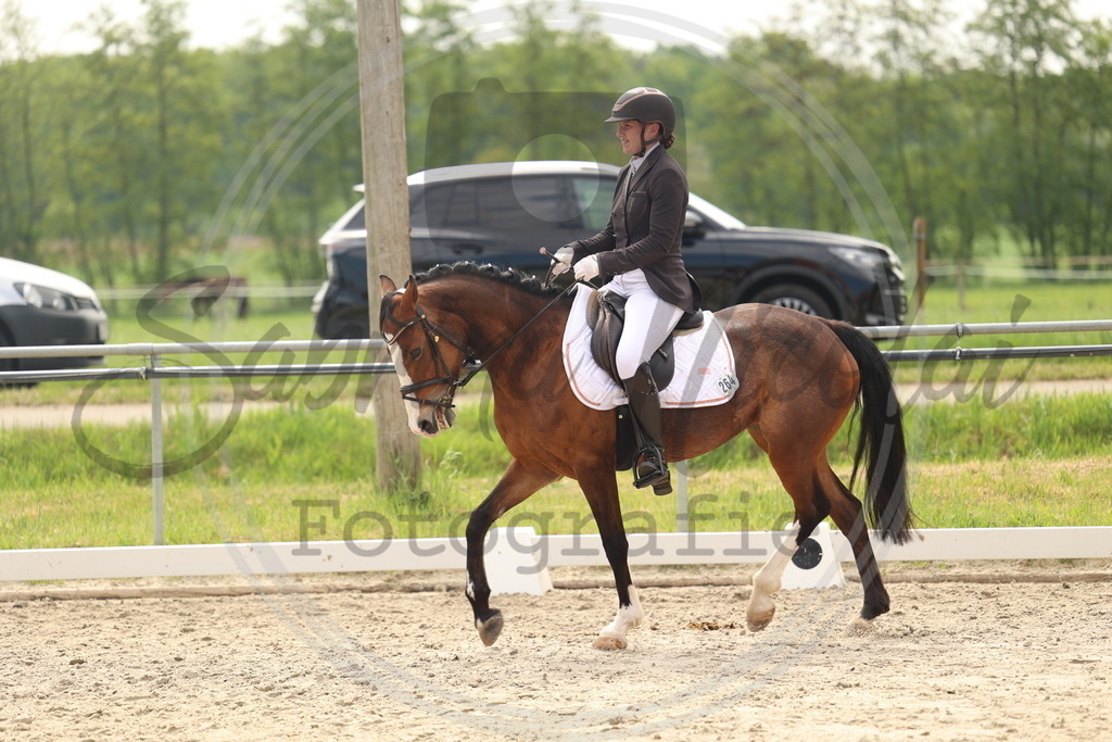 994A6926 | sabrinanicolaifotografie - Realisiert mit Pictrs.com