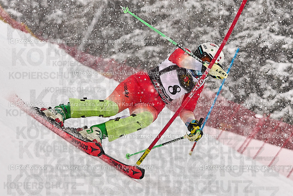 _ALP8112_MASTERS-WM_Reiteralm_CD_SL-I_SCHAERER Julia | FISWORLD CHAMPIONSHIPSMASTERS ALPINE SKIING, 23. – 28. MÄRZ 2026 - REITERALM | STMK | AUT.   Veranstaltet vom Masters-Referat des Deutschen Skiverbandes (DSV). Durchführende Organisation: WSV Pichl-Reiteralm, unterstütutzt von den Bergbahnen REITERALM bei Schladming und SKI AUSTRIA.                            Disziplinen:  Super-G, GiantSlalom, Slalom.                                                 Kategorien:  A (Herrn 30-59 Jahre), B (Herrn ab 60 Jahre), C (Damen 30-59 Jahre), D (Damen ab 60 Jahre).                Rennstrecken:   Gasselhöhe und Muldenliftpiste auf der Reiteralm.