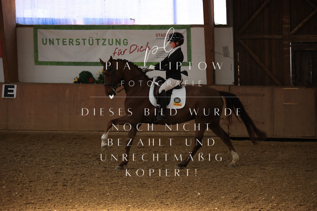 IMGT3063 | pl-fotografie