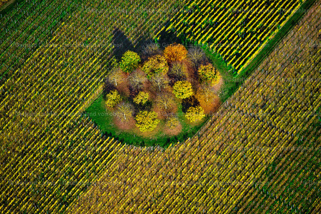 3503587 | Weinberge am Busigberg Großheubach