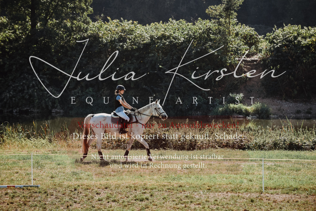 DSC_5510 | Pferde- und Turnierfotografie in Westsachsen. Pferdeportraits, Auftragszeichnungen und intuitive Kunst.