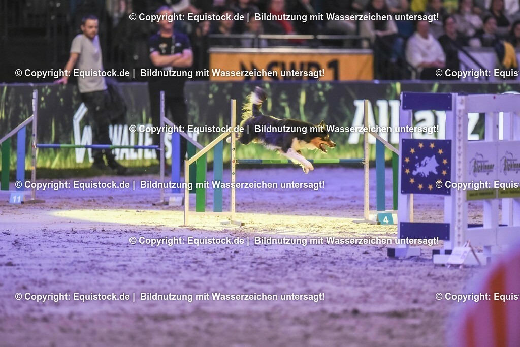 20231115_Dog-Agility_0146_TOMsPiC | Foto: Thomas Hartig