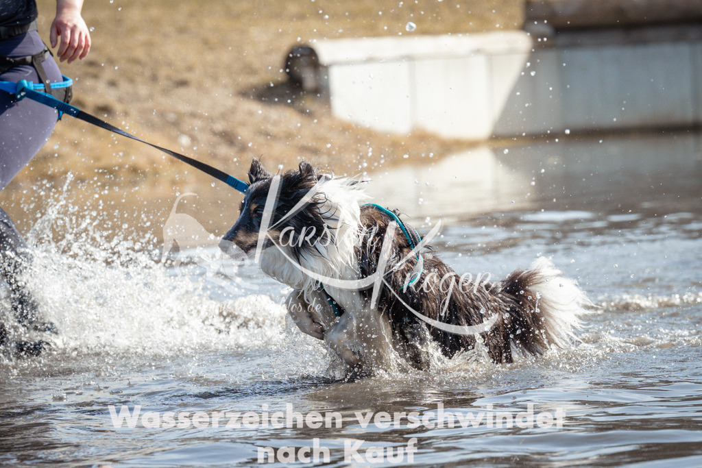 1117_ZZ93604 | kk-dogfotos