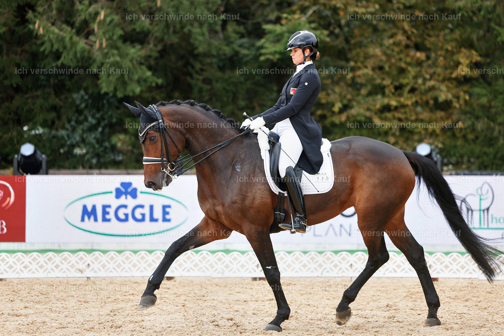 12-110-DRESSUR  S___  -StoibPH-5287 | working equitationturnier fotograf videograf stoibphotography marixx film working equitation deutschland reitsport turnierfotografie eventfotografie equestrian events
