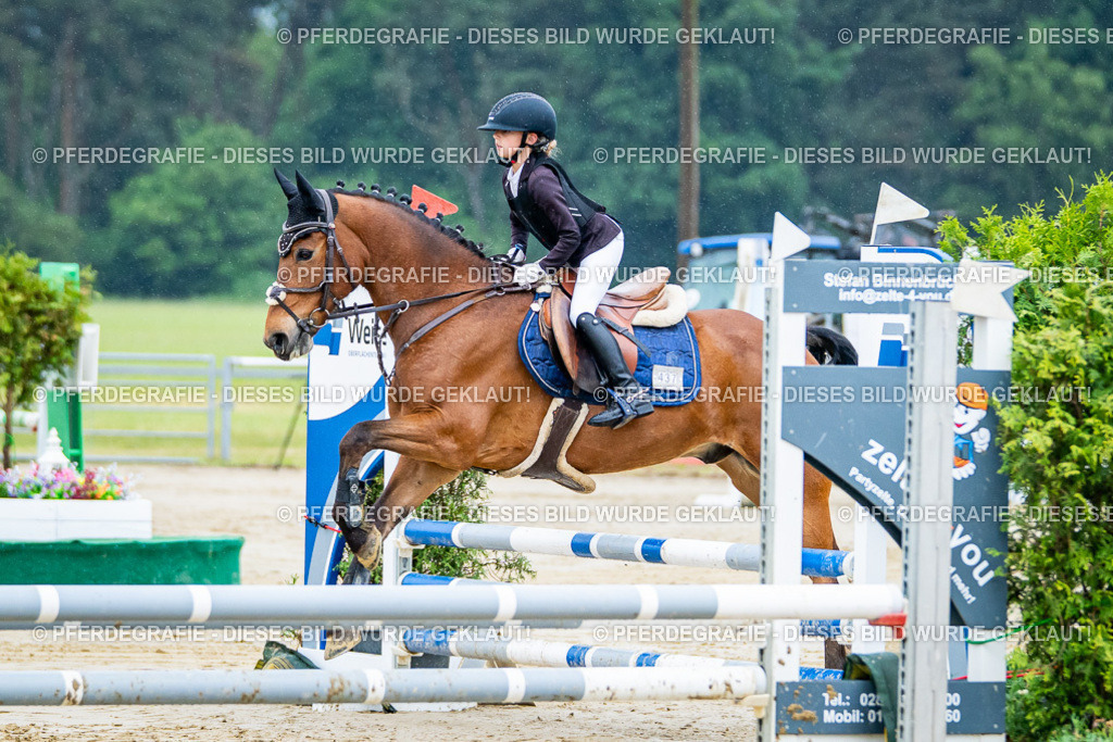 DSC01346 | Pferdegrafie