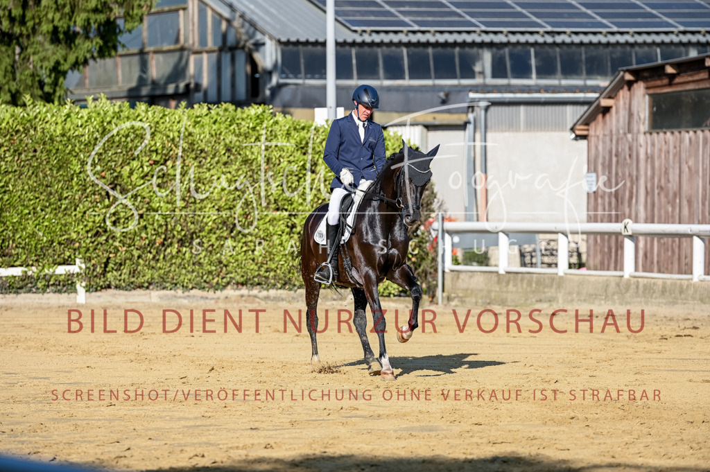 Schugtsche-Aluta25-51.Dressurpferdeprf.M-83 | Schugtsche Fotografie - Realisiert mit Pictrs.com