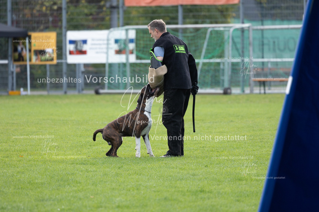 _16A6545 | Einzigartige Fotos von Hunden & Menschen –Actionfotos, Portraits, Vereinsaufnahmen & Paarshootings – authentisch, lebendig & mit Herz.
