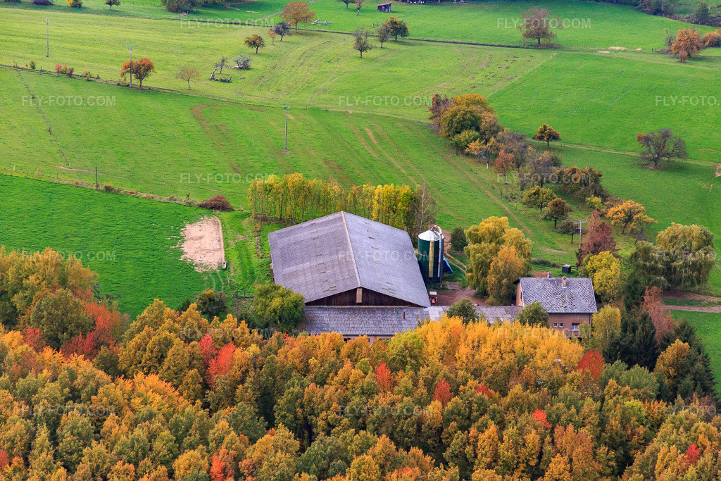 Aerial view: Frm Euler in Niederbronn-les-Bains in the state Bas-Rhin, France.Photo: IMG_084874.jpg taken on 10/24/2015 by Werner Riehm/FLY-FOTO.comResolution of the original: 5472 x 3648 px