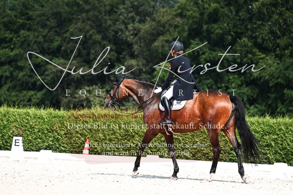 DSC_3122 | Pferde- und Turnierfotografie in Westsachsen. Pferdeportraits, Auftragszeichnungen und intuitive Kunst.