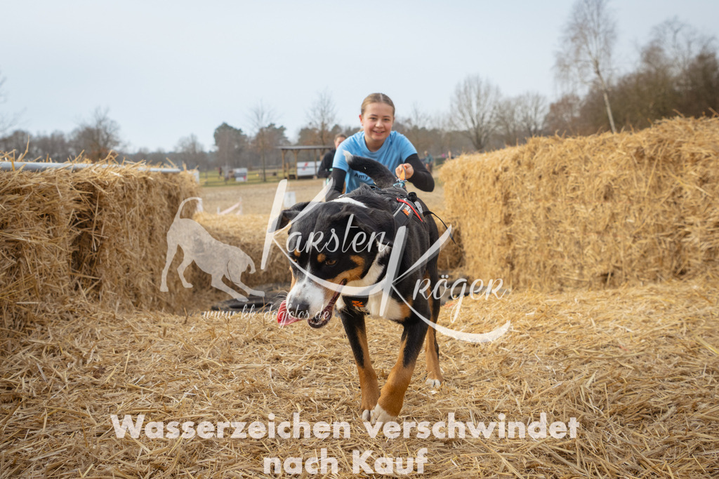 1036_ZZ96595 | kk-dogfotos
