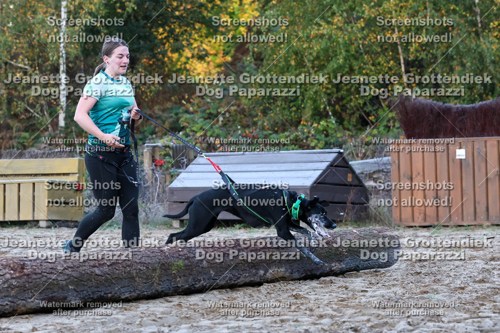 Dog Paparazzi - Strongdog 10-25-130 | Dog Paparazzi Jeanette Grottendiek Fotografie & Videografie - Realisiert mit Pictrs.com