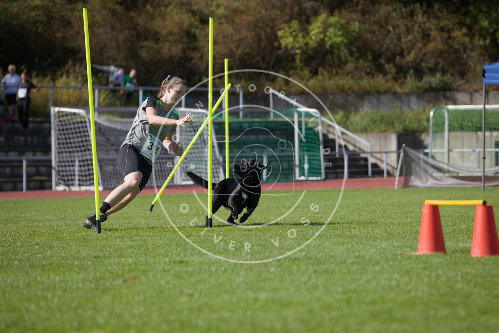 0L8A8127 | Hundefotografie, Tierfotograf, Pfotenfotografie, Fotoshooting Hund, Hunde Portrait, Hundesport, Hundeportraits, Heideshooting, Hunde, Sportfotograf, Hundefotograf, Turnierhundsport, THS,  - Realisiert mit Pictrs.com