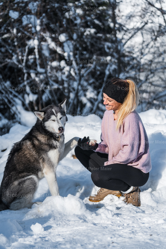 Huskyschlitten_Faubelhof_Hohenthurn-78 | piet_flosse