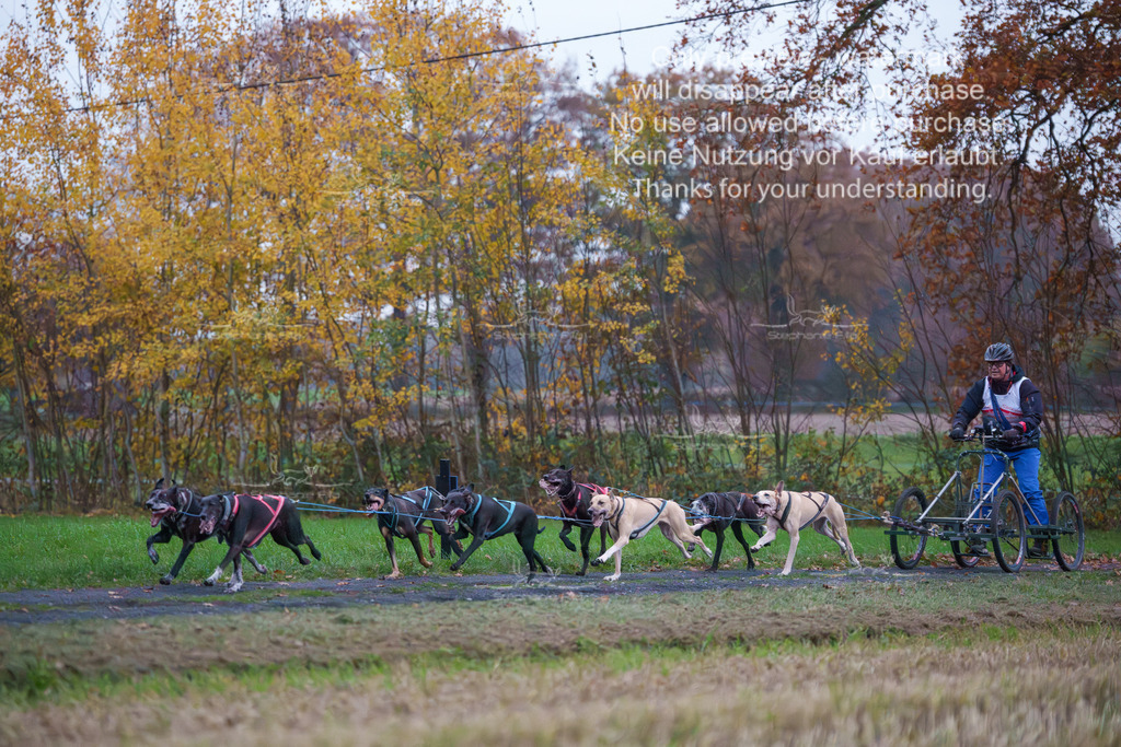 8er_Sa-2 | stephaniefillaphotographie - Realisiert mit Pictrs.com