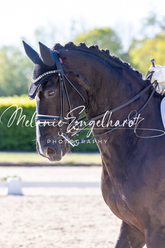 7I8A2571 | melanie-engelhardt-photography - Realisiert mit Pictrs.com