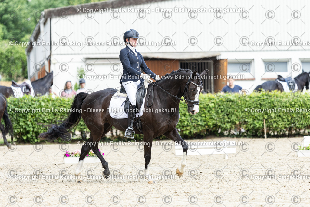 CL5A5899-2 | Emilia Reinking Fotografie - Realisiert mit Pictrs.com