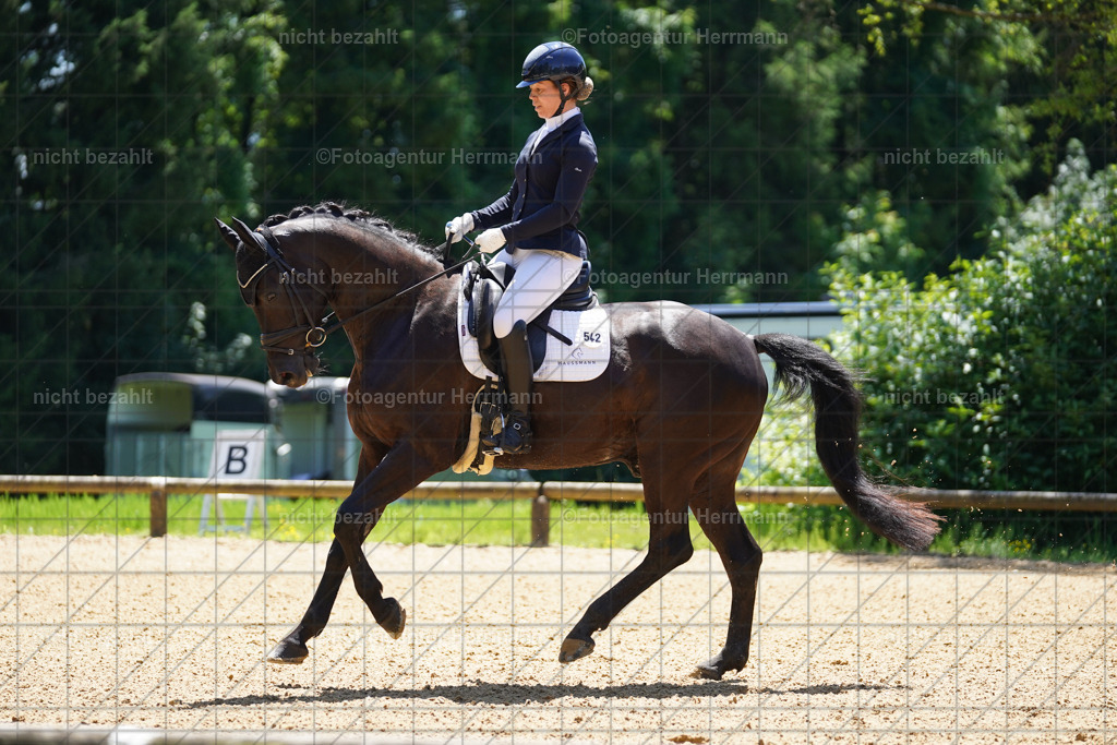 20240705-FAH03745 | Turnierbilder von Grafing, Reitsportbilder, Turnierfotos, Turnierfotografen Bayern, Pferdefotograf, Fotoagentur Herrmann