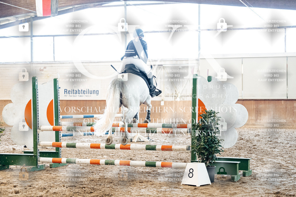 CK904625 | Turnierfotografie Pferdefotografie Trier Rheinland-Pfalz Pferdesport Reitsport Tierfotografie Sportfotografie Pferdevideo Pferdevideografie Equestrianvideography equestrianphotography  - Realized with Pictrs.com